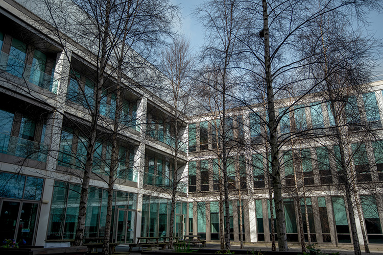 school of medicine exterior