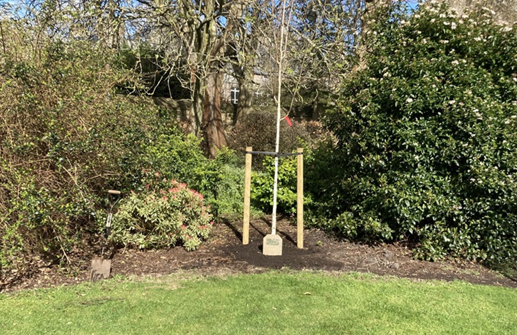 memorial tree plaque