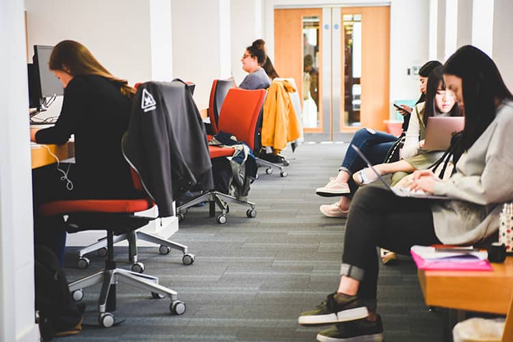 Students studying in JF Allen Library