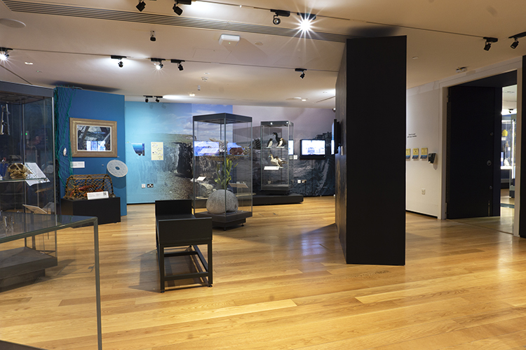 Albany Gallery at the Wardlaw Museum