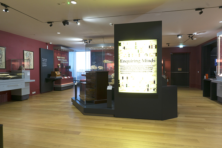 Wardlaw Museum exhibition space with lit wall
