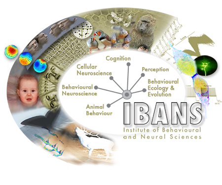 Institute of Behavioural and Neural Sciences (IBANS)