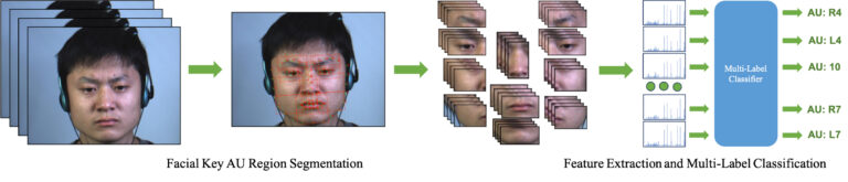 Segmentation of individual facial action units for the analysis of micro-expressions in a series of video frames.