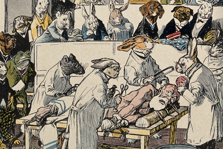 Vivisection and Late-Victorian Literary Culture