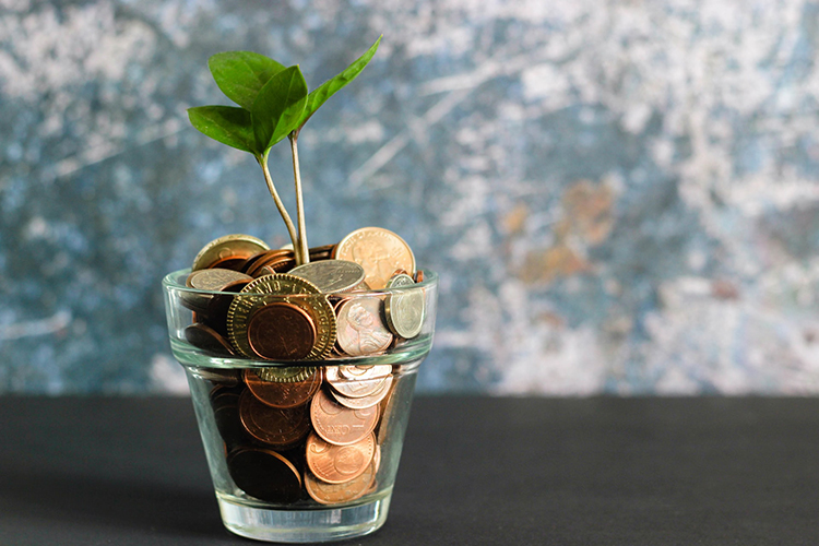 seedling growing from coins in a tumbler - photo by Visual Stories || Micheile on Unsplash