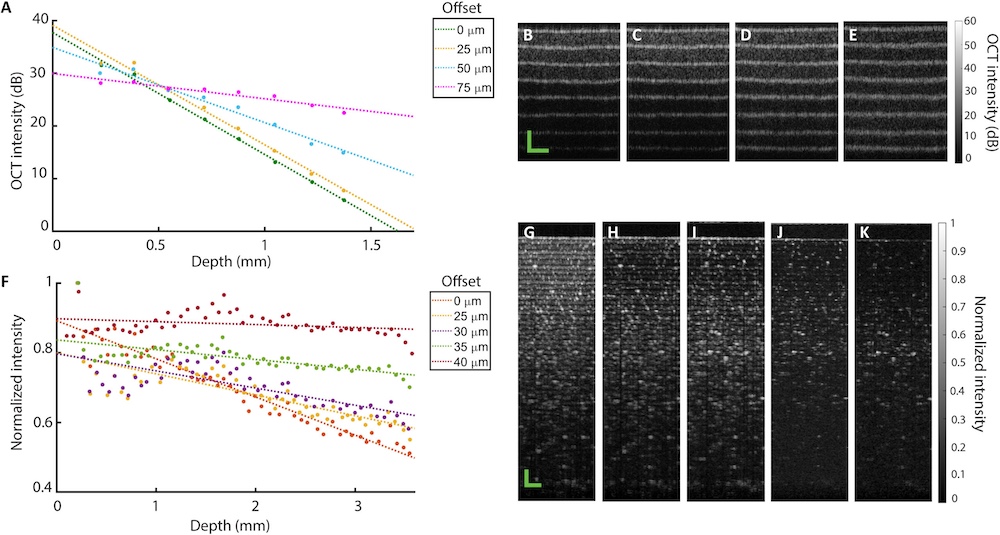 Spacially offset optical coherence tomography.