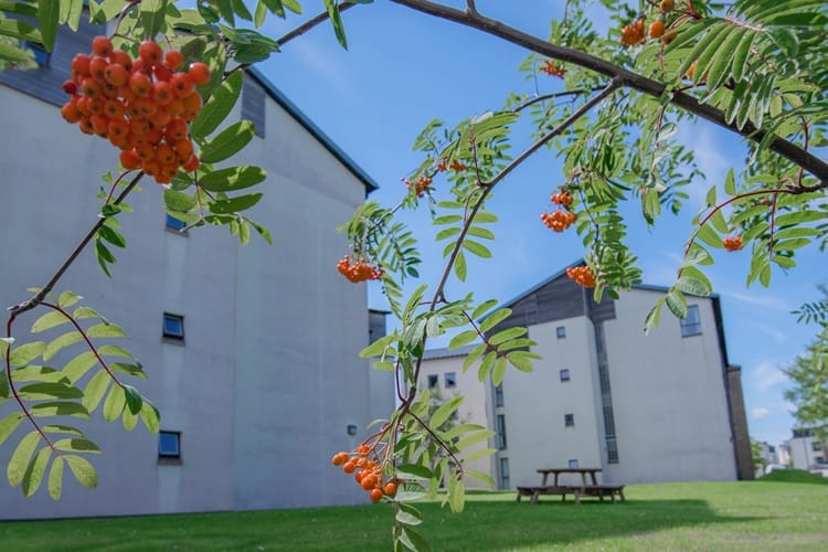 Exterior of University buildings with seating and shrubbery