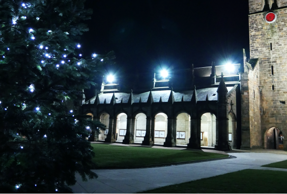 xmas tree in st salvators quad