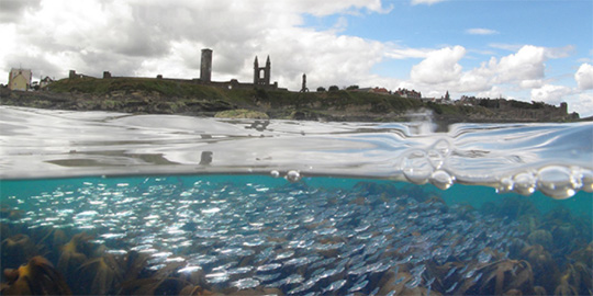 view of castle from sea