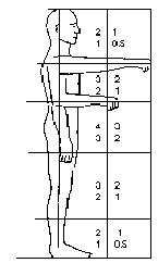 Manual handling - effect of twisting 12