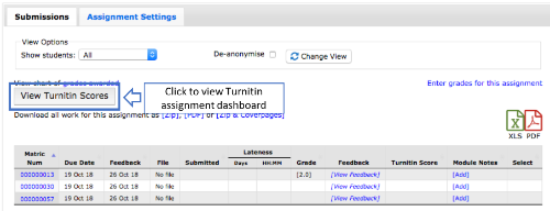 The assignment overview with the 'View Turnitin Scores' button highlighted. Useful for showing access to the Turnitin assignment dashboard