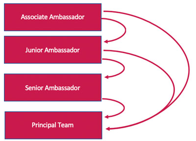 Student Ambassador Promotion diagram outlining how Associate, Junior, and Senior ambassadors can be promoted