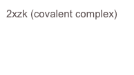 2xzk (covalent complex)