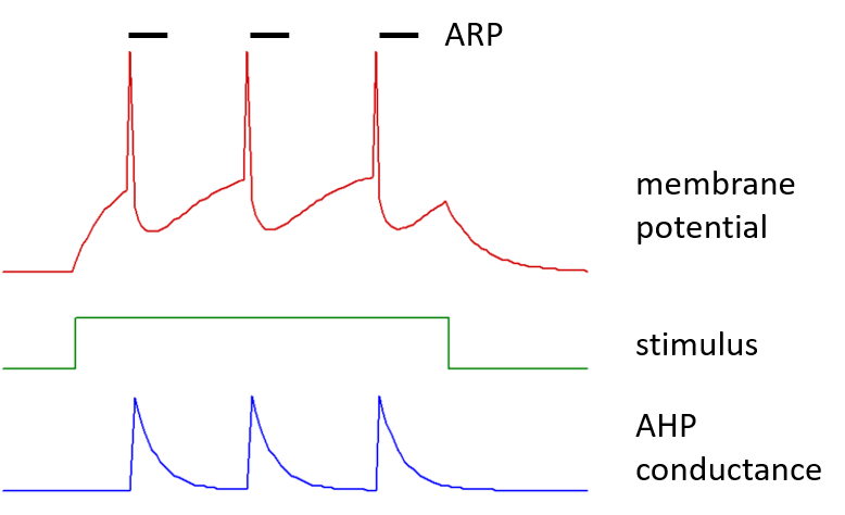 IaF neuron