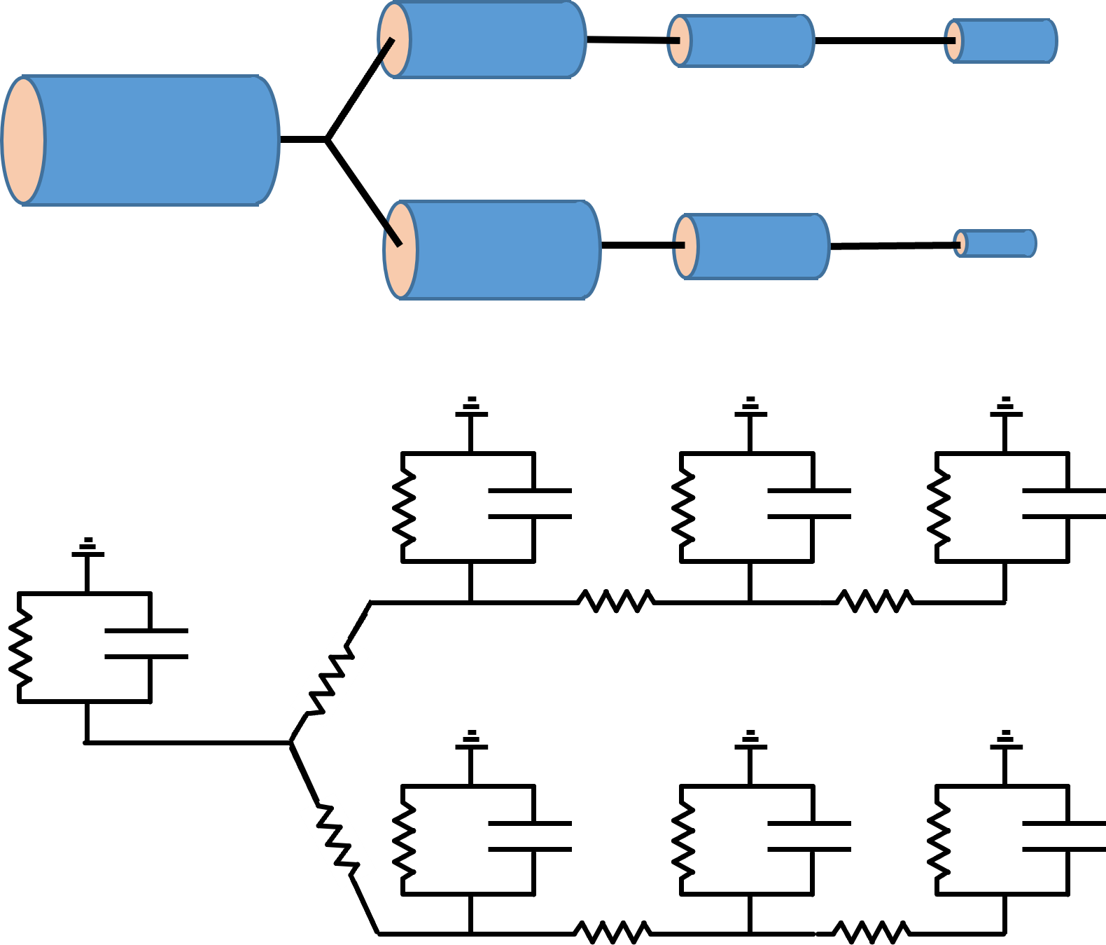 Comparmental model