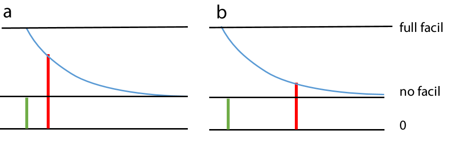 Synaptic facilitation