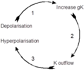 Potassium cycle